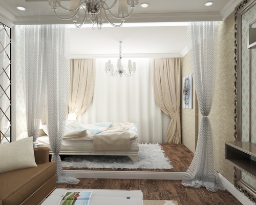 Wohnzimmer und Schlafzimmer in einem Raum (Foto)