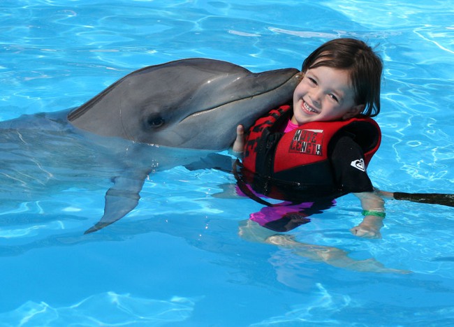 Delphintherapie: Baden mit Delfinen
