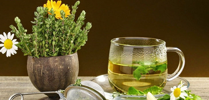 Phytoalchemie: Kräuter für Schönheit und Gesundheit