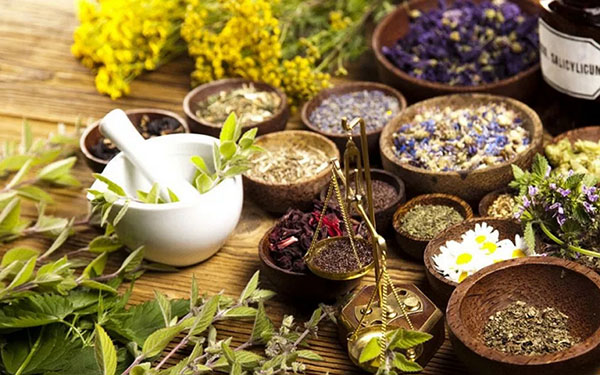 Phytoalchemie: Kräuter für Schönheit und Gesundheit