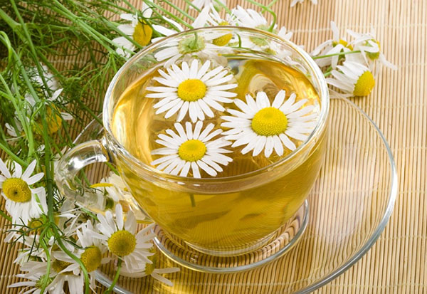 Phytoalchemie: Kräuter für Schönheit und Gesundheit