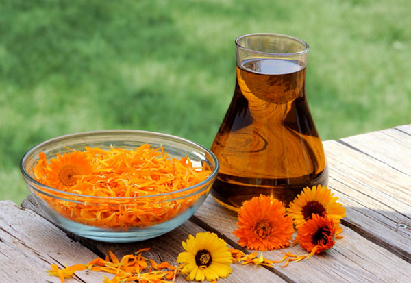 Phytoalchemie: Kräuter für Schönheit und Gesundheit