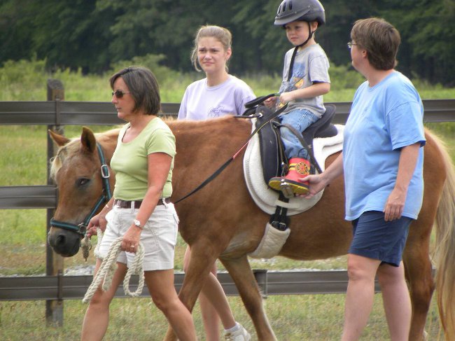 Hippotherapie: eine umfassende Rehabilitationsmethode