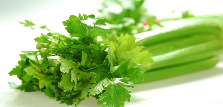 Bewertungen über effektive Ernährung zur Gewichtsreduktion