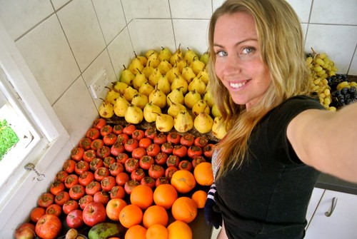 Wie man vegan wird. 9 Schritte zu einer gesunden Ernährung