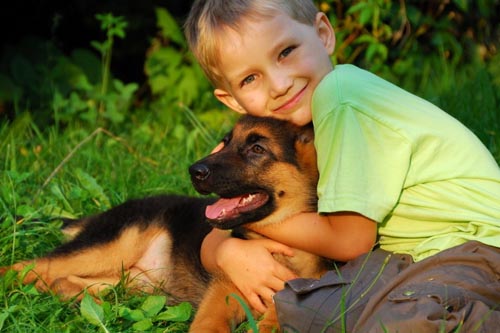 Welche Krankheiten von Hunden sind gefährlich für Menschen