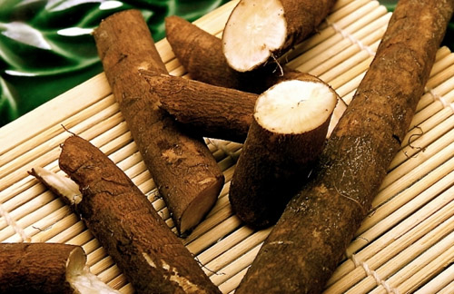 Therapeutische Eigenschaften der Klette und ihre Anwendung