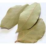 Behandlung mit Lorbeerblatt Behandlung mit Lorbeerblatt