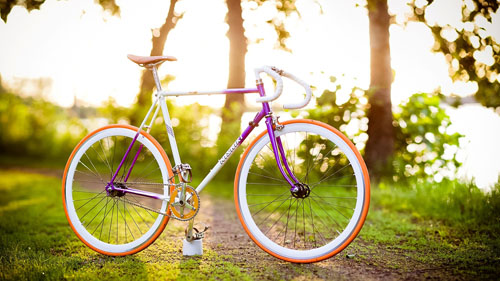 Kann ich mit dem Fahrrad abnehmen?