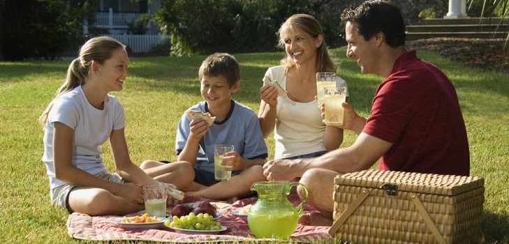 Picknick. Wie man Lebensmittelvergiftung und andere Gesundheitsprobleme verhindert