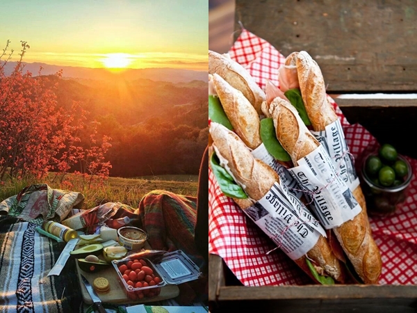 Picknick. Wie man Lebensmittelvergiftung und andere Gesundheitsprobleme verhindert