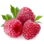 Nützliche Eigenschaften von Himbeeren Nützliche Eigenschaften von Himbeeren