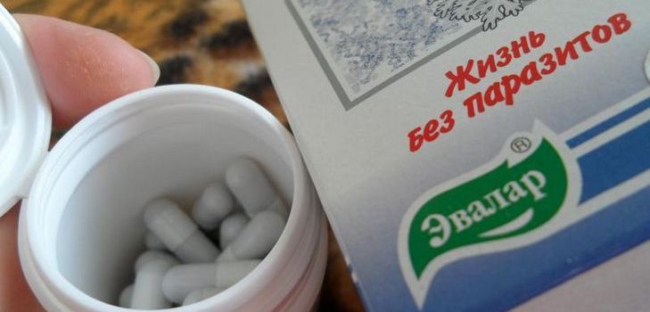 Eine antiparasitäre Droge ist Troychchatka Evalar. Zusammensetzung. Anweisungen. Bewertungen