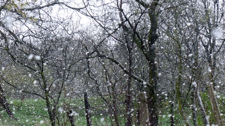 Spring Depression: aktiv gegen die März-Krankheit