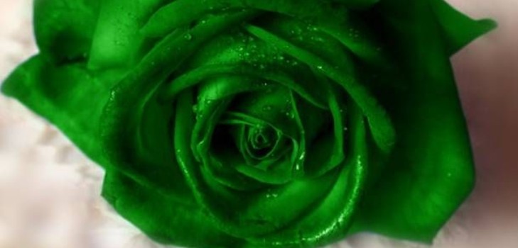 Grüne Entladung bei Frauen: Die Gründe für das Auftreten